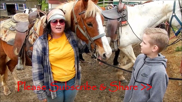 Gold Rush Stables horseback riding