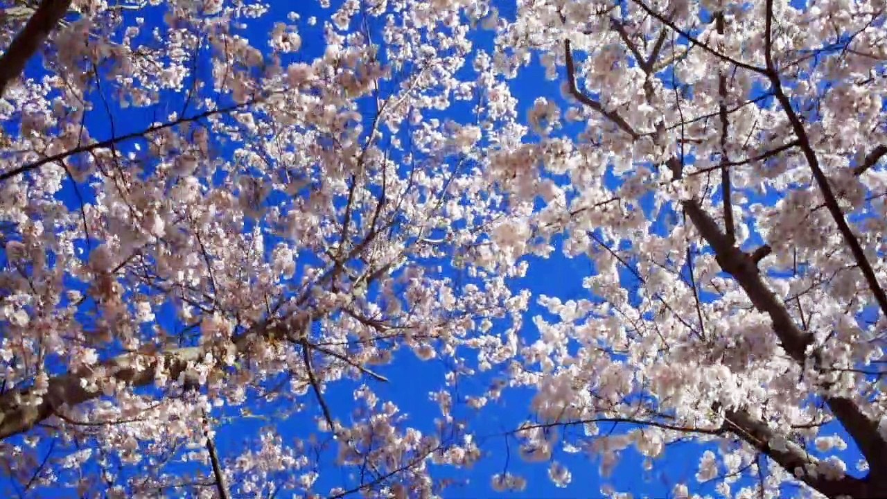 Piano Piece No.1 by Hikaru