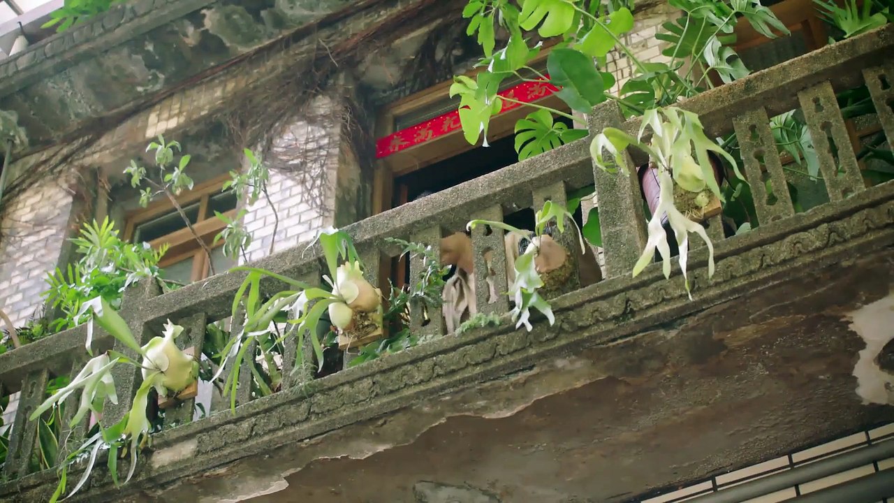 Remarkable Shoe Store (2020) Watch HD