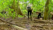 The Island with Bear Grylls - Se2 - Ep13 HD Watch