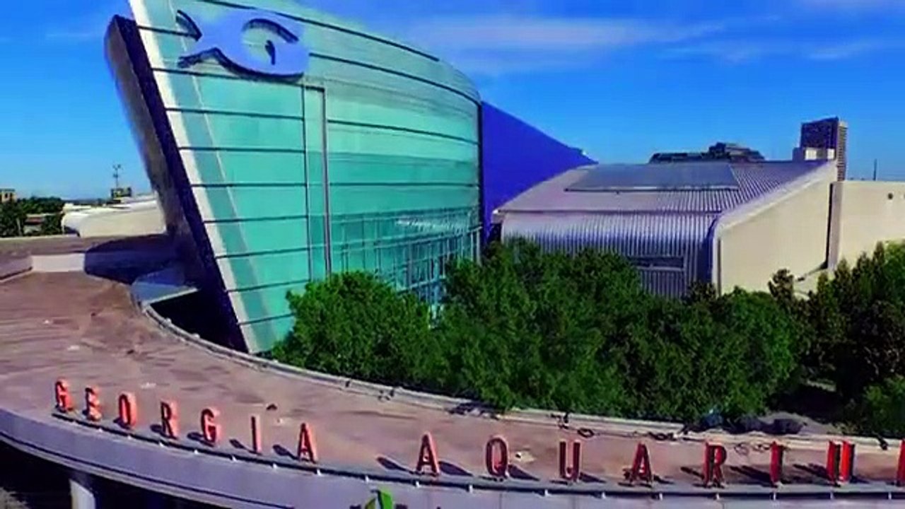 The Aquarium - Se1 - Ep04 HD Watch