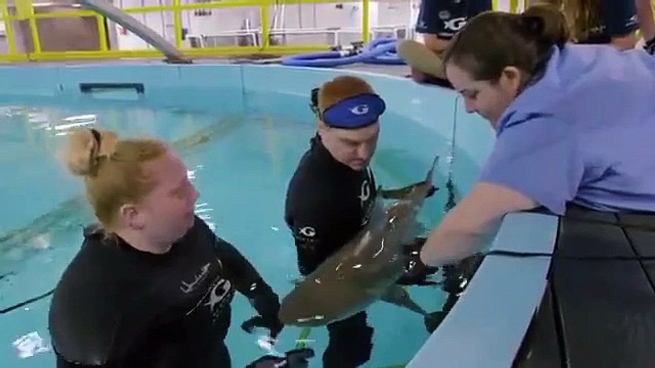 The Aquarium - Se1 - Ep03 HD Watch