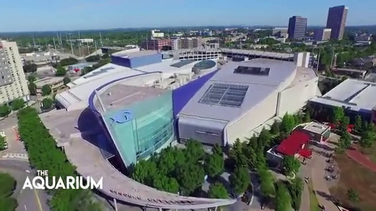 The Aquarium - Se1 - Ep05 HD Watch