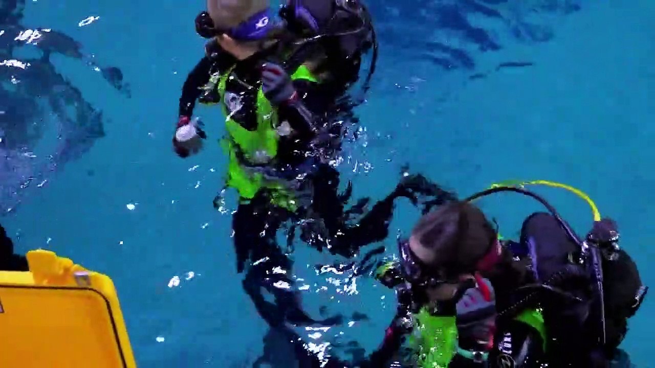 The Aquarium - Se1 - Ep02 HD Watch