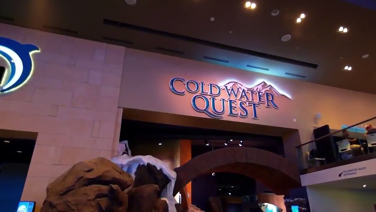 The Aquarium - Se2 - Ep02 - Sea Otter Summer Camp HD Watch