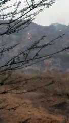 धूं- धूं कर जलने लगा वन, काबू पाने पर ली राहत की सांस