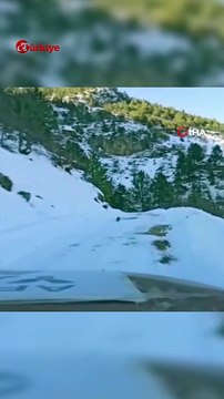 Köpek Yardım Konvoyuna Köye Kadar Rehberlik Etti #deprem #kahramanmaraş #yardım #shorts