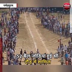 लाख्या-लकी की जोड़ी ने जीती बैलगाड़ी दौड़