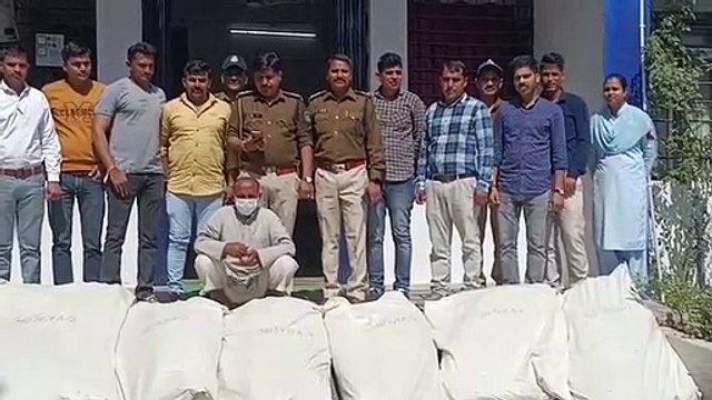 खेत से जब्त किए अफीम के 3564 पौधे, आरोपी गिरफ्तार