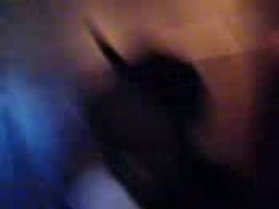 ptite scene sur panam 23