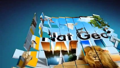 Rhino vs Lion Real Fighting (Nat Geo WILD Documentary)