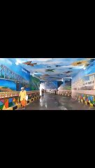 ब यह डाट की पुलिया देगी अंडरवाटर से गुजरने का अहसास