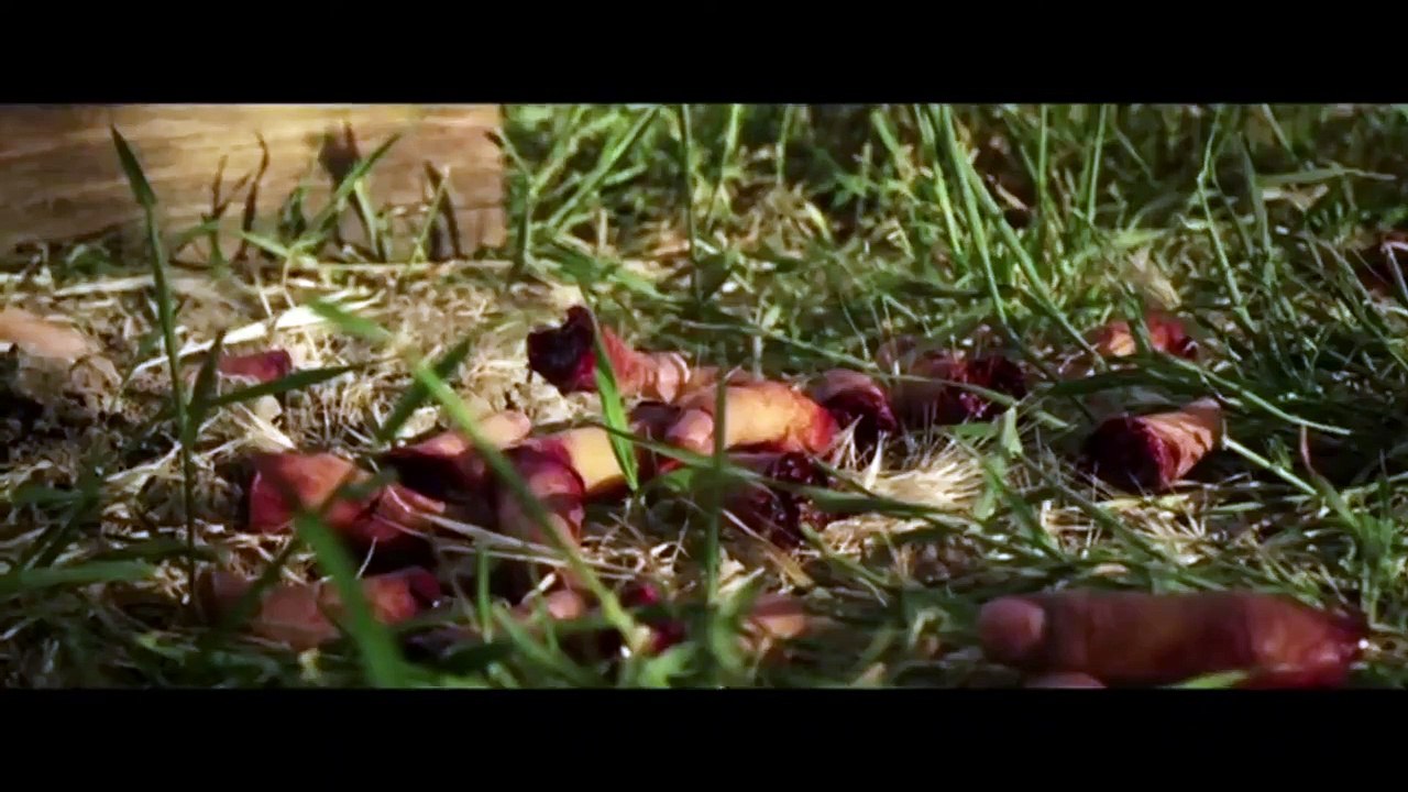 Here Comes the Devil | movie | 2014 | Official Trailer