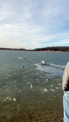 Man Saves Dog From Drowning in Frozen Lake