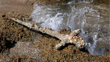 This 3000 year old Bronze Age sword finally reveals its mysteries