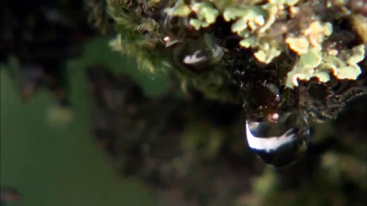 Season 1 | show | 2011| S1 | Official Teaser