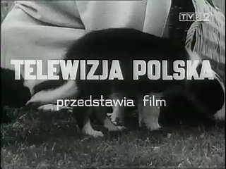 Przygody psa cywila | show | 1968| S1 | Official Clip