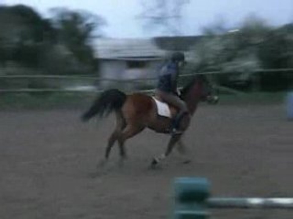 CIMG0654