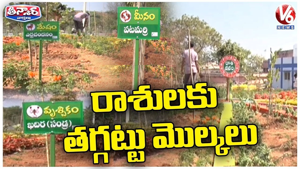 12 Zodiac Plant Trees Attracts Public At Karimnagar Prakruthi Vanam _ V6 Weekend Teenmaar
