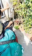 vì những lời quảng cáo trên trời của các shop