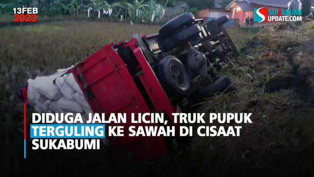 Diduga Jalan Licin, Truk Pupuk Terguling ke Sawah di Cisaat Sukabumi