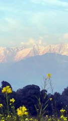 kangra | Dharamshala Guide