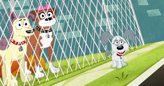 Pound Puppies 2010 Pound Puppies 2010 S01 E017 Bone Voyage