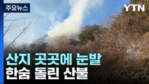 [날씨] 영동, 내일까지 최고 20cm 폭설...한숨 돌린 산불 / YTN