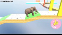 Learn Animals Name for kids -- Sheep, Gorilla, Zebra, Cat - Animals Video -- #cow