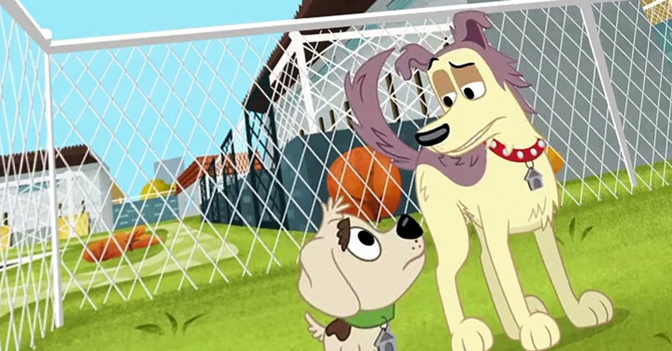 Pound Puppies 2010 Pound Puppies 2010 S01 E022 McLeish Unleashed