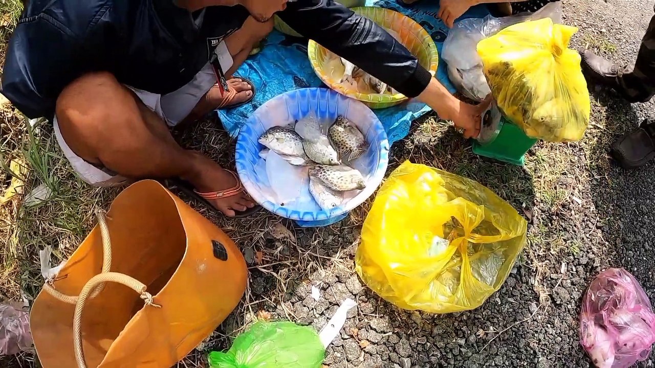 TODAY SELLING FISH ON THE ROAD WITHOUT KNOWING WHAT WILL HAPPEN