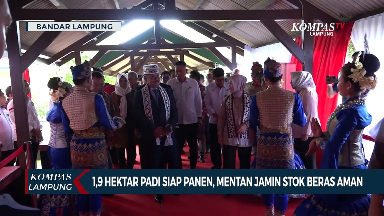 1,9 Hektar Padi Siap Panen, Mentan Jamin Stok Beras Aman