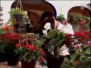 Amor en custodia México Capitulo 39