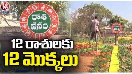 Trees In The Name Of Zodiac Signs, Attracts Public In Prakruthi Vanam _ Karimnagar _ V6 News