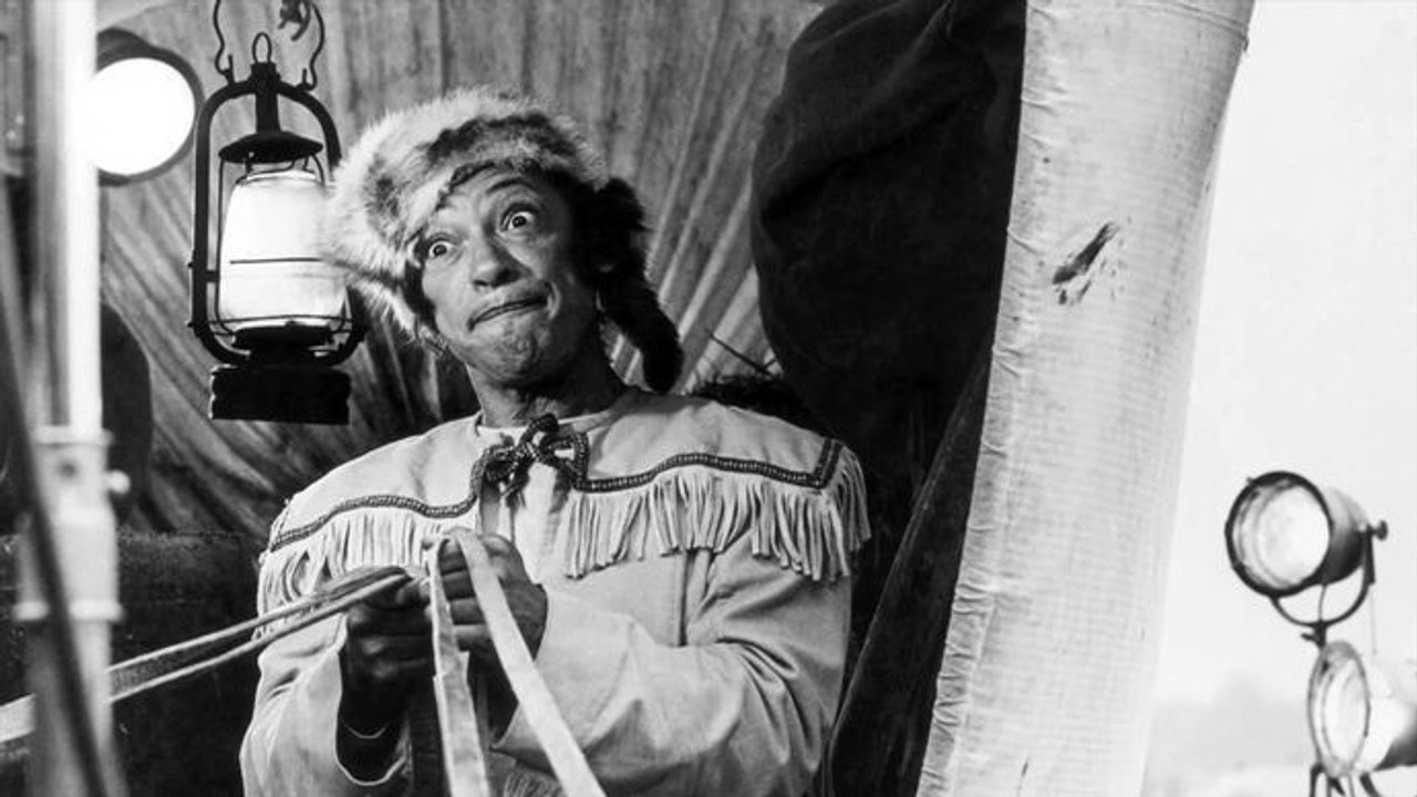 Face B comme bossa, l'autre histoire d'Henri Salvador