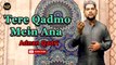 Tere Qadmo Mein Ana | Naat | Adnan Qadri | HD Video | Labaik Labaik