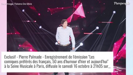 "L'enfant est très somnolent", "Pierre Palmade était complètement hagard" : Un pompier présent raconte l'accident