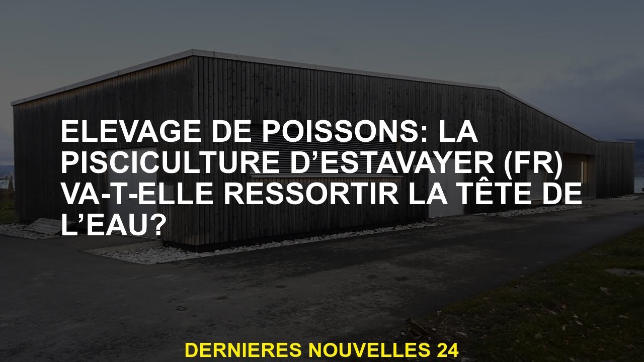 Élevage de poissons: l'estavayer  ferait-il de la piscine de la tête de l'eau?