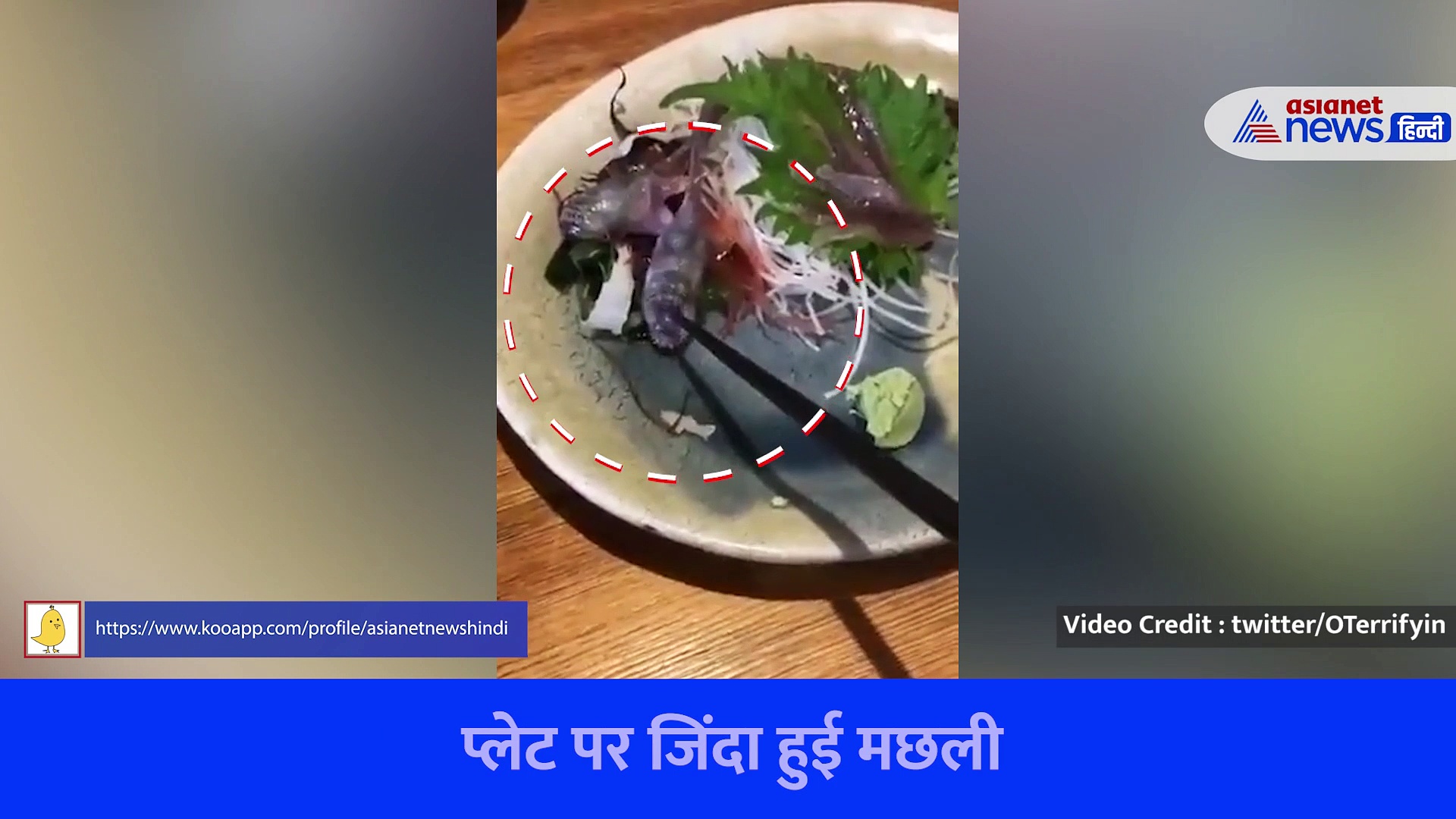 प्लेट पर सलाद के साथ रखी फिश हो गई जिंदा, मुंह में दबा ली चॉप स्टिक, वीडियो देख डरे सोशल मीडिया यूजर्स