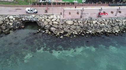 Avcılar'da deniz çekildi