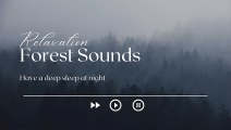Relaxing Nature SOunds - Forest Sounds