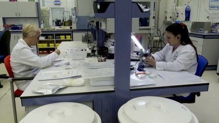 AJL Ophthalmic, premio Pyme del Año en Álava