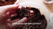 ماسكات القهوة التركية للوجه والجسم