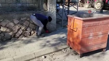 Deprem bölgesindeki sokak hayvanları da unutulmadı