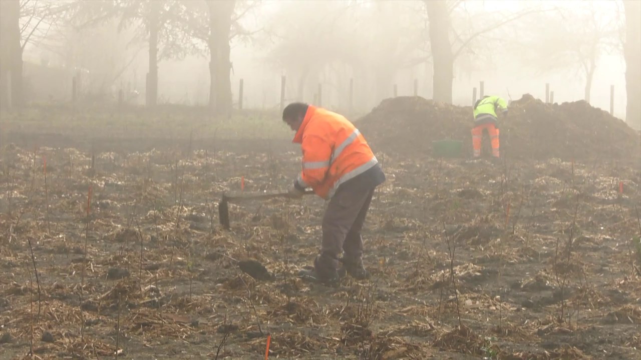 Actus : Une forêt climat au lac de Téteghem - 13 février 2023