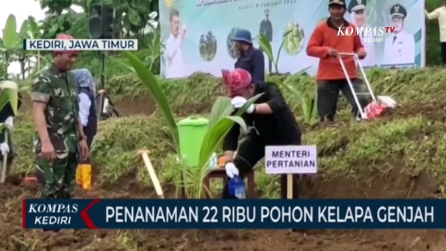 Bupati Kediri dan Menteri Pertanian Tanam 22 Ribu Bibit Pohon Kelapa Genjah