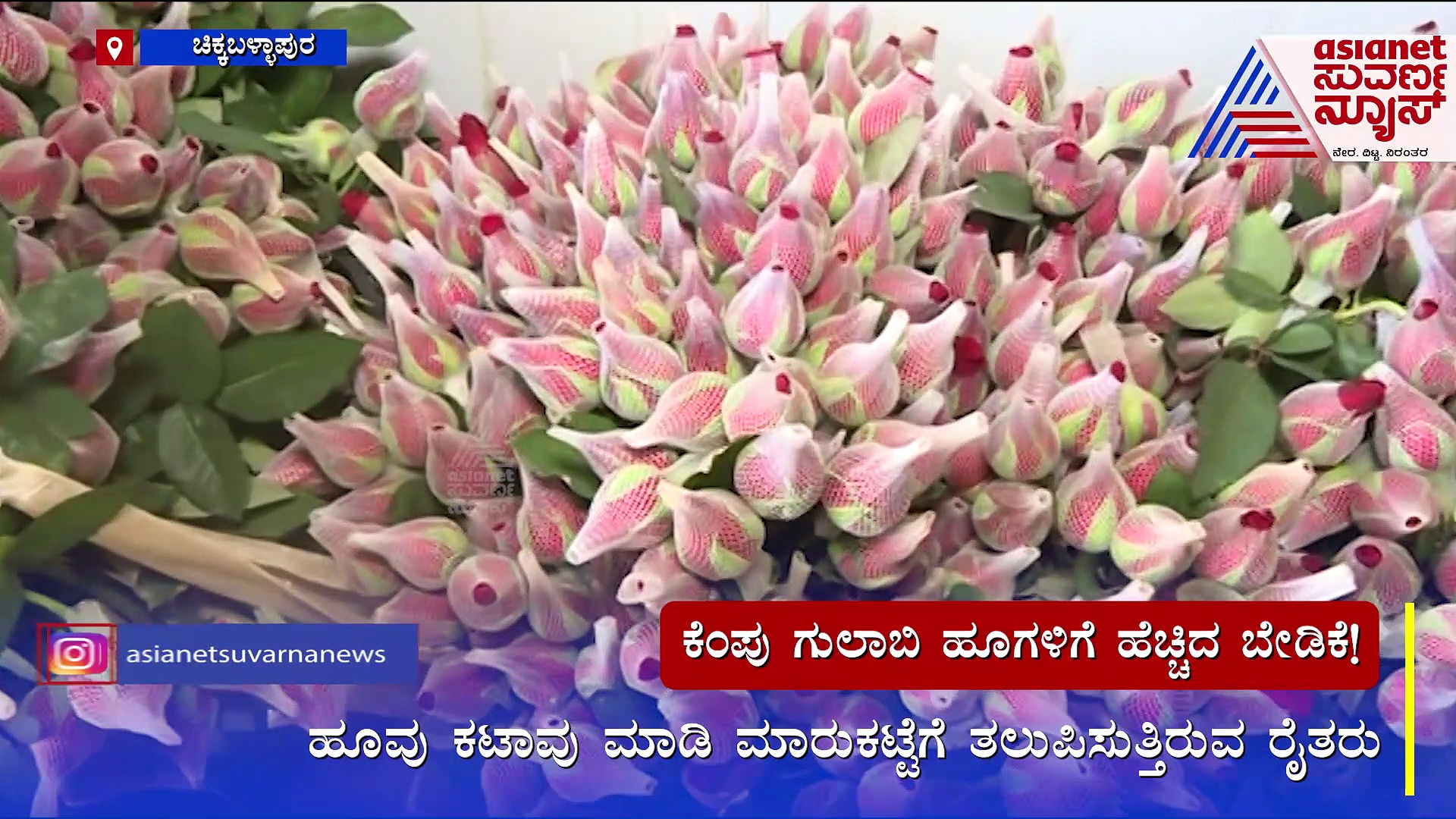 Valentine's Day: ಪ್ರೇಮಿಗಳ ದಿನಾಚರಣೆ: ಗುಲಾಬಿ ಹೂವಿಗೆ ಡಿಮ್ಯಾಂಡ್