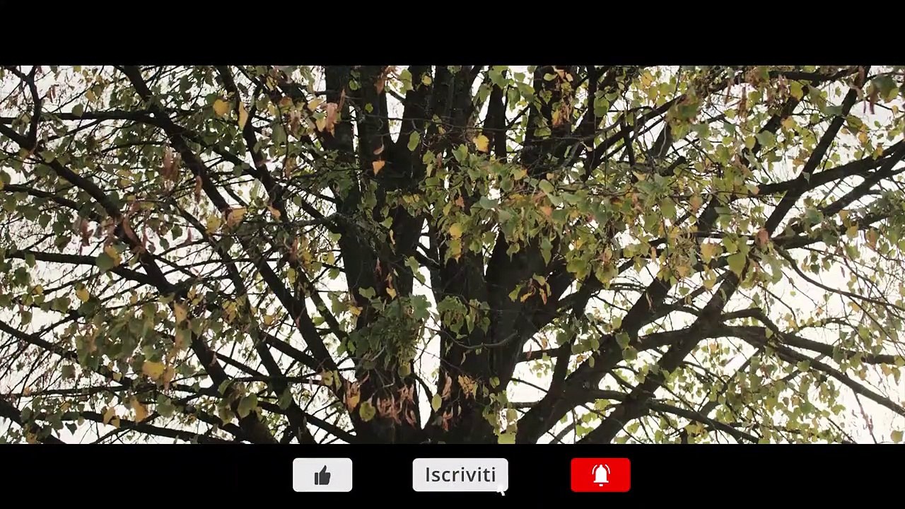 Resistance - La voce del silenzio | movie | 2020 | Official Trailer