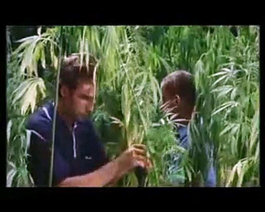 Lammbock | movie | 2001 | Official Trailer