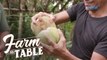 Lacking sayote? Try the giant granadilla! | Farm To Table